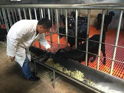 说明: https://mmbiz.qpic.cn/mmbiz_jpg/p7o33gpib2nvb0iabZjZN85QsWfbwyaFIgUnvuYyhLhnCDPB8bCRK74saTVaLickRYKytMsURQ3ld7kEB0xQJYsJA/640?wx_fmt=jpeg